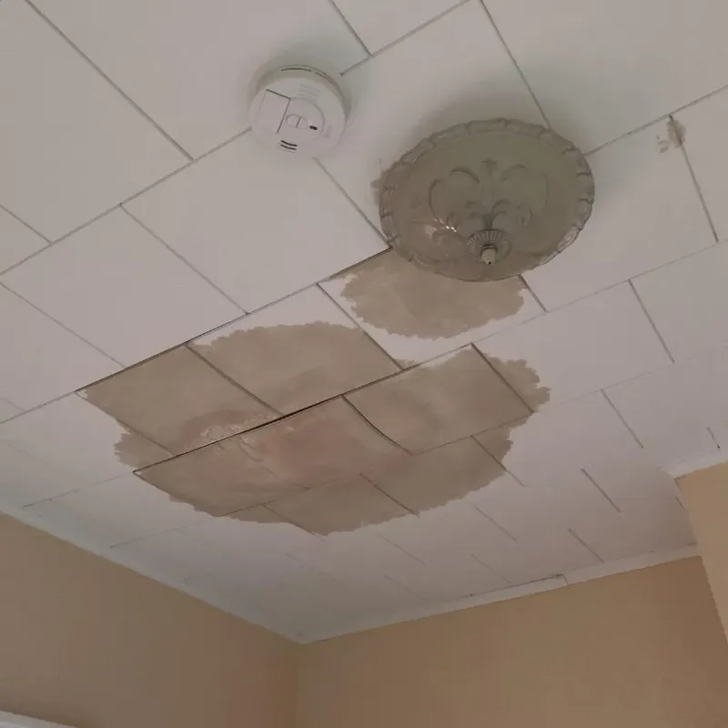 Ceiling Water Damage Repair in Granville South, OH