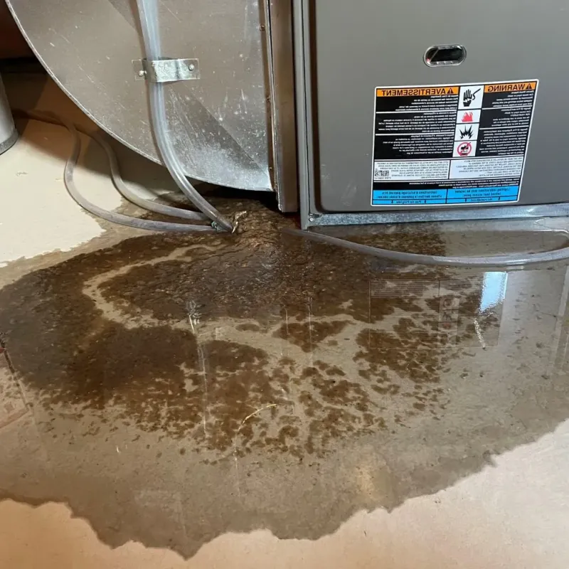 Pipe Burst and Leak Restoration in Granville South, OH
