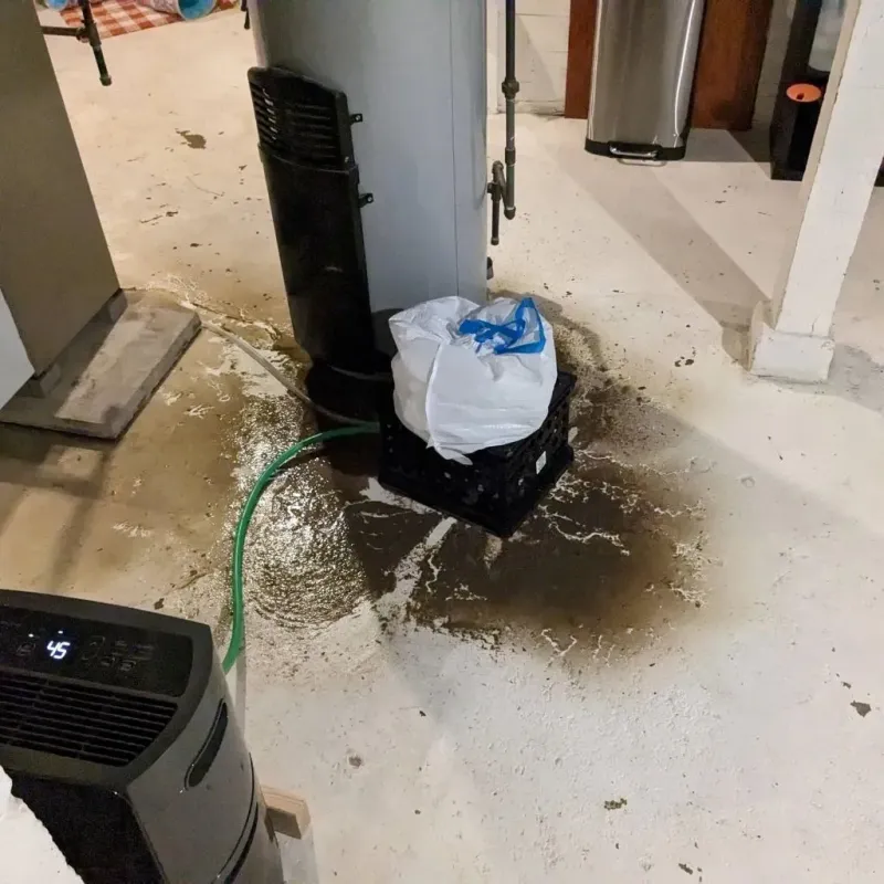Sewage Backup Cleanup Service in Granville South, OH